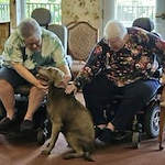 Gilman Grove Assisted Senior Living in Oregon City, Oregon residents petting a dog