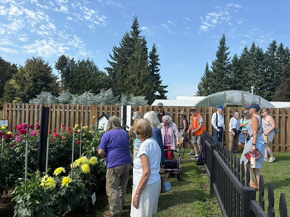 Life at Fanno Creek - Elite Care-photo-4