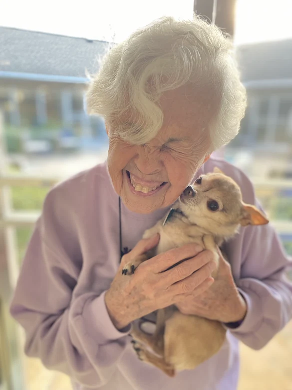 Wesley Manor Assisted Living Community offering assisted living and continuing care retirement community (CCRC) services in Louisville, KY, senior woman holding a little puppy