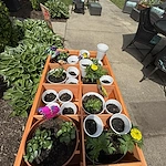 Life at Cambridge Crossing-photo-6