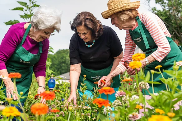 Life at Cedarfield Health Services-photo-1