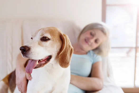 Franklin Park Boerne resident petting a dog