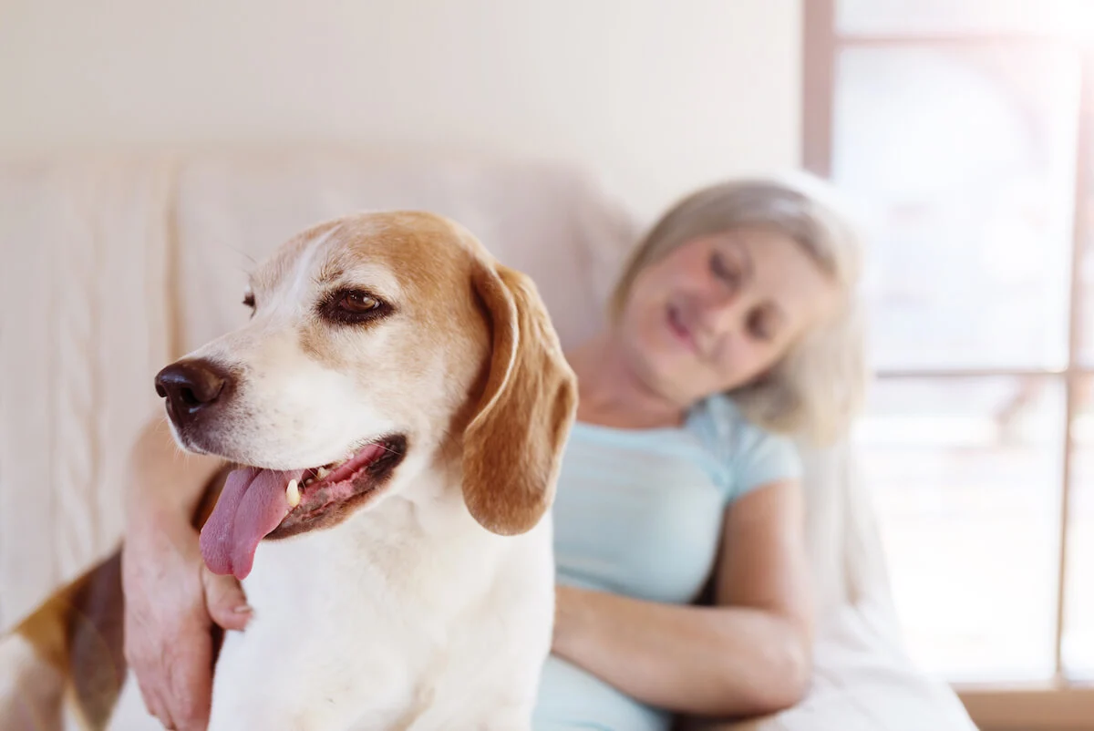 Franklin Park Boerne resident petting a dog