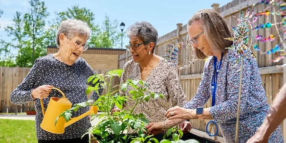 Life at Harmony at Hockessin-photo-4