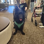 A Pinnacle Grove Senior Living resident and a special guest enjoying the St. Patrick's Day celebration