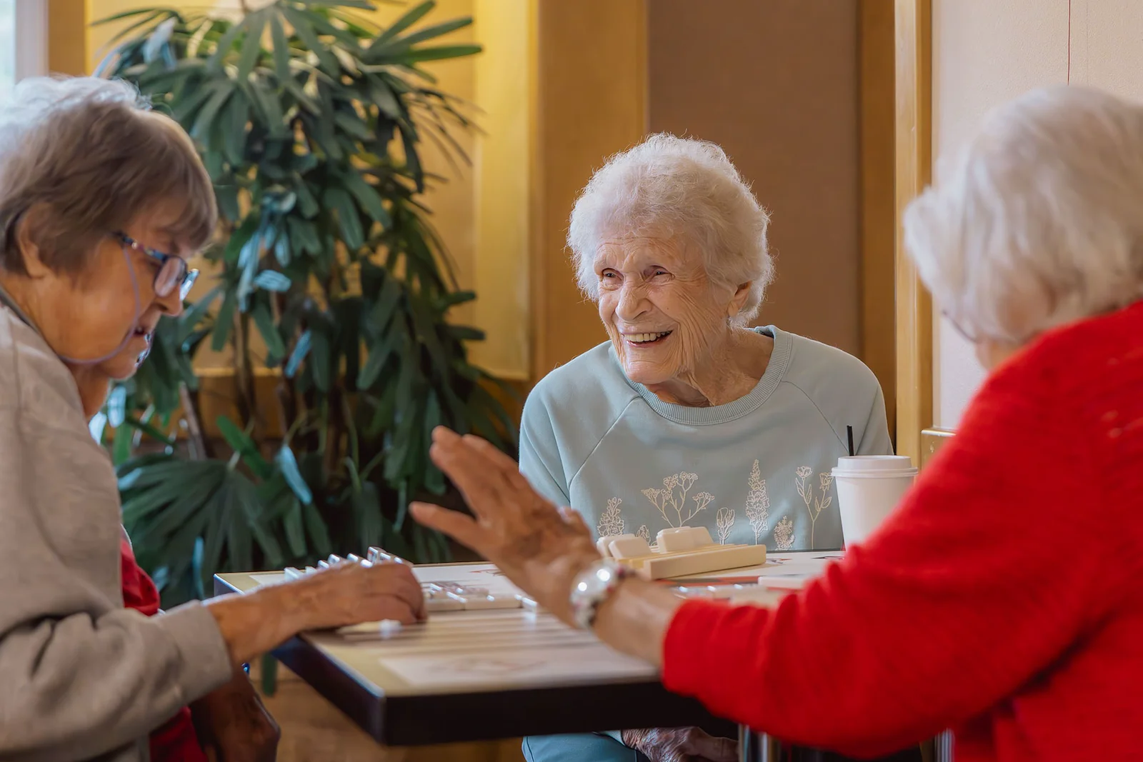 Vineyard Park of Sumner Independent and Assisted Living residents enjoying playing a game together and socializing