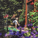 Life at NewBridge on the Charles-photo-2